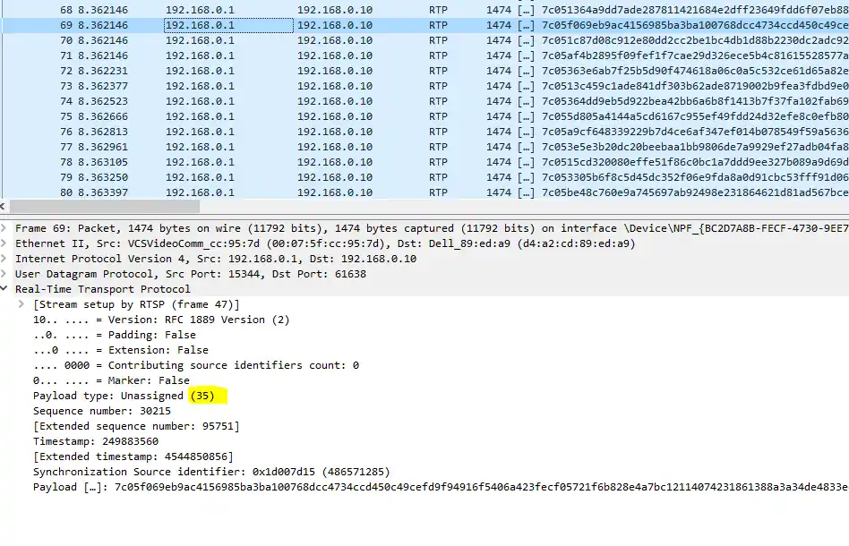 Payload Type Identification